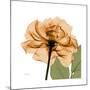 Copper Rose-Albert Koetsier-Mounted Premium Giclee Print