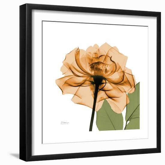 Copper Rose-Albert Koetsier-Framed Premium Giclee Print