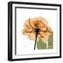 Copper Rose-Albert Koetsier-Framed Premium Giclee Print
