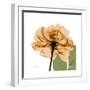 Copper Rose-Albert Koetsier-Framed Premium Giclee Print