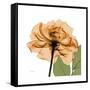 Copper Rose-Albert Koetsier-Framed Stretched Canvas