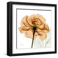 Copper Rose-Albert Koetsier-Framed Art Print