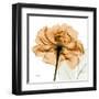 Copper Rose-Albert Koetsier-Framed Art Print