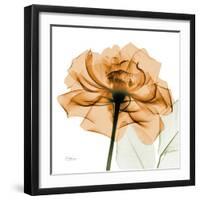 Copper Rose-Albert Koetsier-Framed Art Print