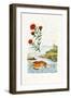 Copper's Hardy Ice Plant, 1833-39-null-Framed Giclee Print