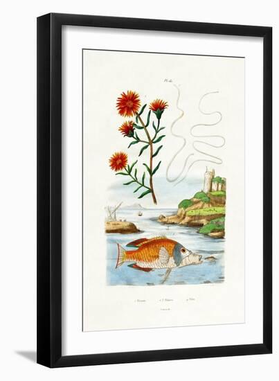 Copper's Hardy Ice Plant, 1833-39-null-Framed Giclee Print