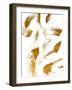 Copper Strokes I-Susan Bryant-Framed Art Print