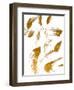 Copper Strokes I-Susan Bryant-Framed Art Print