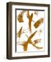 Copper Strokes II-Susan Bryant-Framed Art Print