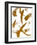 Copper Strokes II-Susan Bryant-Framed Art Print