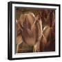 Copper Tulips-Mindy Sommers-Framed Giclee Print