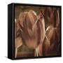 Copper Tulips-Mindy Sommers-Framed Stretched Canvas
