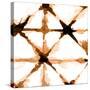 Copper Whites 1-Kimberly Allen-Stretched Canvas