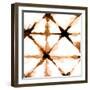 Copper Whites 1-Kimberly Allen-Framed Art Print