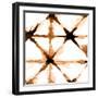 Copper Whites 1-Kimberly Allen-Framed Art Print