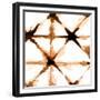 Copper Whites 1-Kimberly Allen-Framed Premium Giclee Print