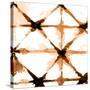 Copper Whites 2-Kimberly Allen-Stretched Canvas