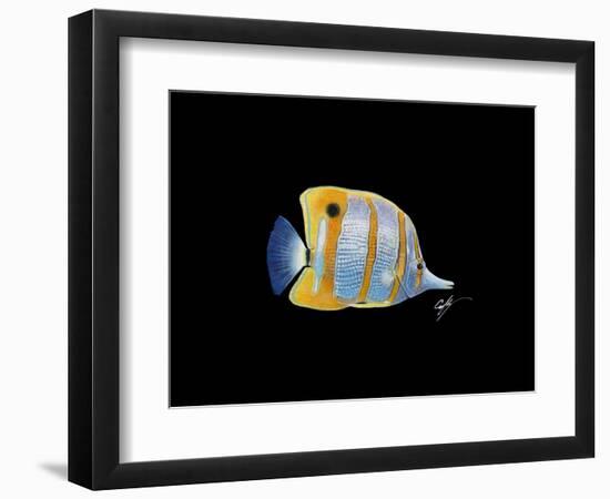 Copperband Butterfly-Durwood Coffey-Framed Premium Giclee Print