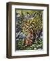 Copperhead (Agkistrodon Contortrix), Viperidae-null-Framed Giclee Print