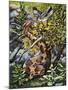 Copperhead (Agkistrodon Contortrix), Viperidae-null-Mounted Giclee Print