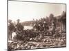 Copra (Coconut) and Fei(Banana) Harvesting. Tahiti, Late 1800S-Charles Gustave Spitz-Mounted Photographic Print