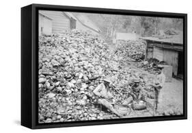 Copra Making, Samoa, 1899-Burton Brothers-Framed Stretched Canvas