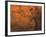 Coprates Region of Mars-Stocktrek Images-Framed Photographic Print