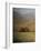 Copse of Sienna-Simon Winegar-Framed Giclee Print