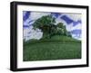 Copse-Anthony Amies-Framed Giclee Print