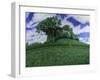 Copse-Anthony Amies-Framed Giclee Print