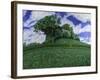 Copse-Anthony Amies-Framed Giclee Print