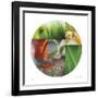 Coquelicot Circle-Florence Delva-Framed Giclee Print