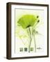 Coquelicot Vert I-Marthe-Framed Art Print