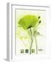 Coquelicot Vert I-Marthe-Framed Art Print