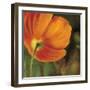 Coquelicots dans le soleil 3-Pierre Viollet-Framed Art Print