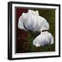 Coquelicots En Vert-Tina Lavoie-Framed Giclee Print