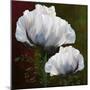 Coquelicots En Vert-Tina Lavoie-Mounted Giclee Print