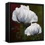 Coquelicots En Vert-Tina Lavoie-Framed Stretched Canvas