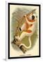 Coquerel's Sifaka-G.r. Waterhouse-Framed Art Print