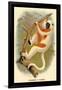 Coquerel's Sifaka-G.r. Waterhouse-Framed Art Print