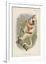 Coquerel's Sifaka-null-Framed Giclee Print