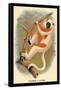 Coquerel's Sifaka-G.r. Waterhouse-Framed Stretched Canvas