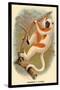 Coquerel's Sifaka-G.r. Waterhouse-Stretched Canvas
