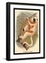 Coquerel's Sifaka-G.r. Waterhouse-Framed Art Print