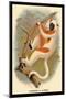 Coquerel's Sifaka-G.r. Waterhouse-Mounted Art Print