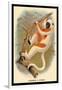 Coquerel's Sifaka-G.r. Waterhouse-Framed Art Print