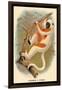 Coquerel's Sifaka-G.r. Waterhouse-Framed Art Print