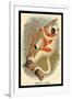 Coquerel's Sifaka-G.r. Waterhouse-Framed Art Print