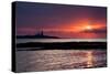 Coquet Island Sunrise-Mark Sunderland-Stretched Canvas