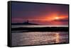 Coquet Island Sunrise-Mark Sunderland-Framed Stretched Canvas